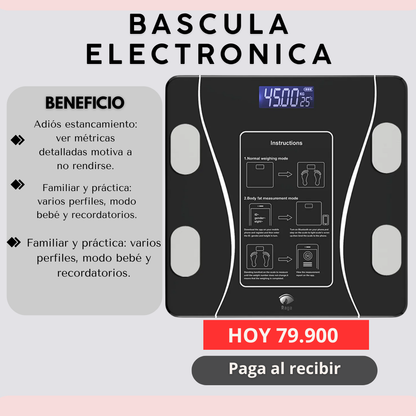 Bascula Electronica